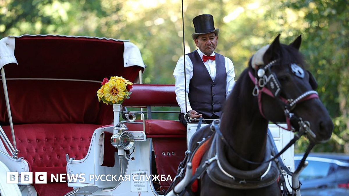 В Нью-Йорке решили запретить одну из визитных карточек города — конные экипажи Центрального парка